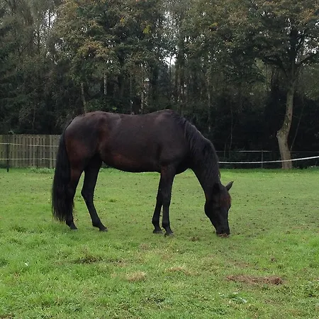 Welkom Op De Mildert Bed & Breakfast *