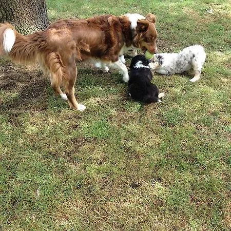 Bed & Breakfast Welkom Op De Mildert