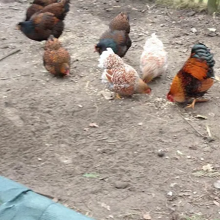 Welkom Op De Mildert