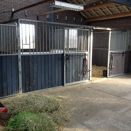 Welkom Op De Mildert *