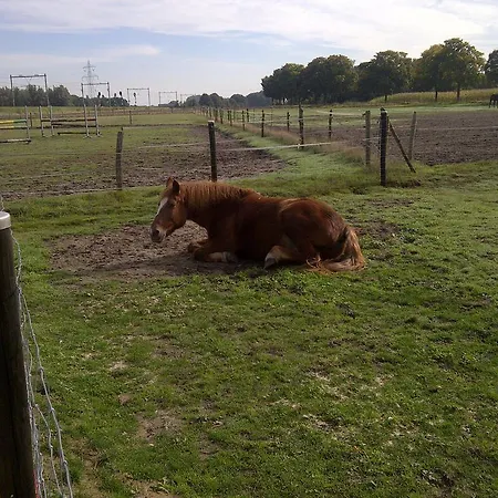 Bed & Breakfast Welkom Op De Mildert *