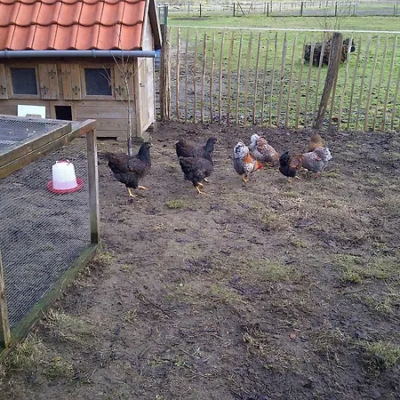 Bed & Breakfast Welkom Op De Mildert *