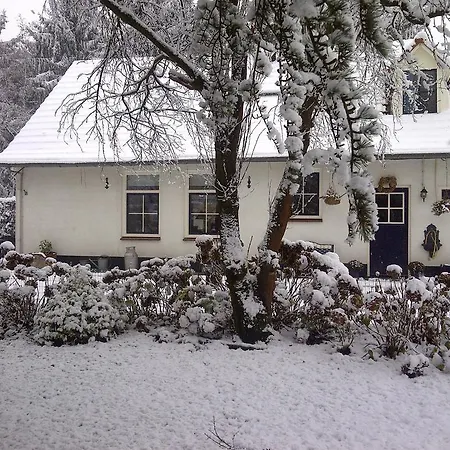 לינה וארוחת בוקר Welkom Op De Mildert Nederweert