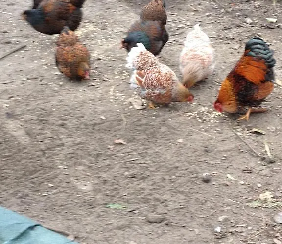 Welkom Op De Mildert