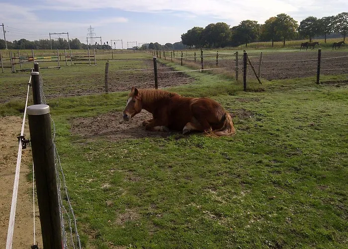 Bed and breakfast Welkom Op De Mildert *