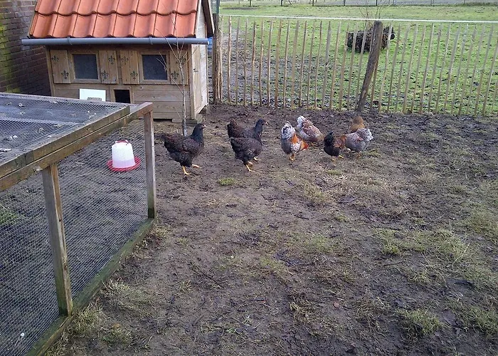 Bed and breakfast Welkom Op De Mildert *