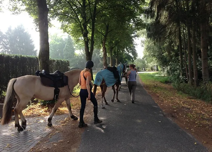 فندق مبيت وإفطار Welkom Op De Mildert Nederweert