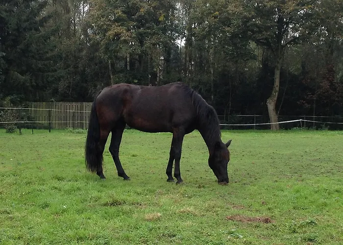 Welkom Op De Mildert فندق مبيت وإفطار *