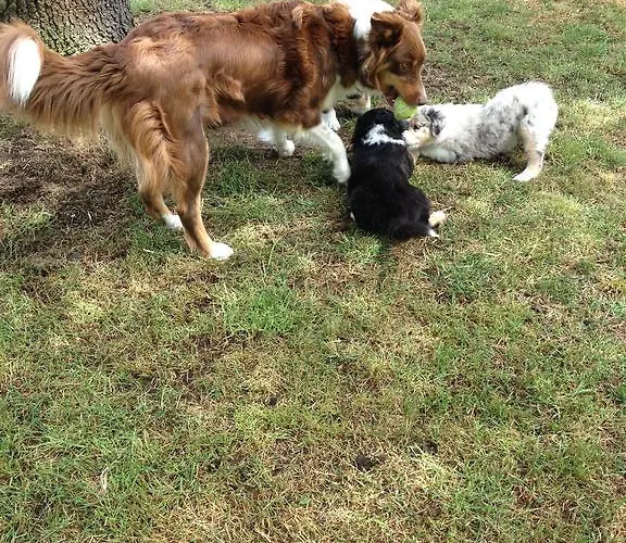 فندق مبيت وإفطار Welkom Op De Mildert