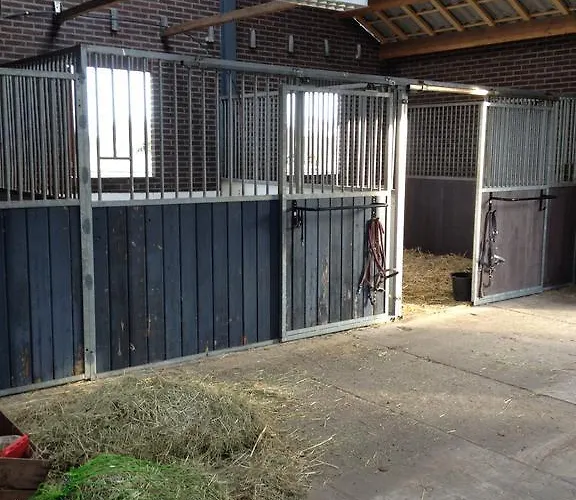 Welkom Op De Mildert *