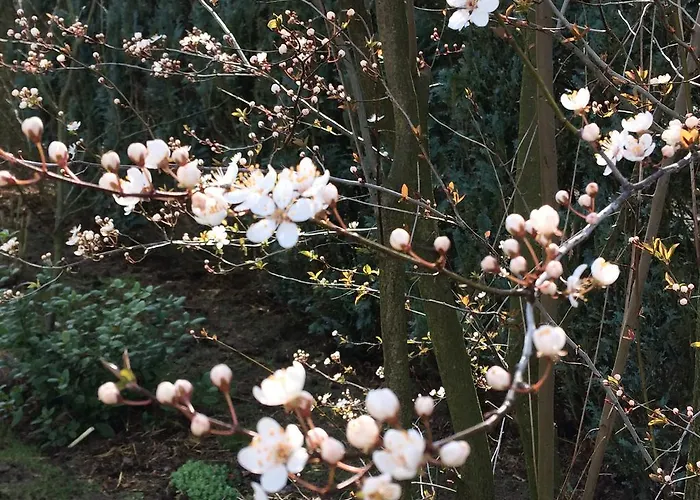 فندق مبيت وإفطار Welkom Op De Mildert